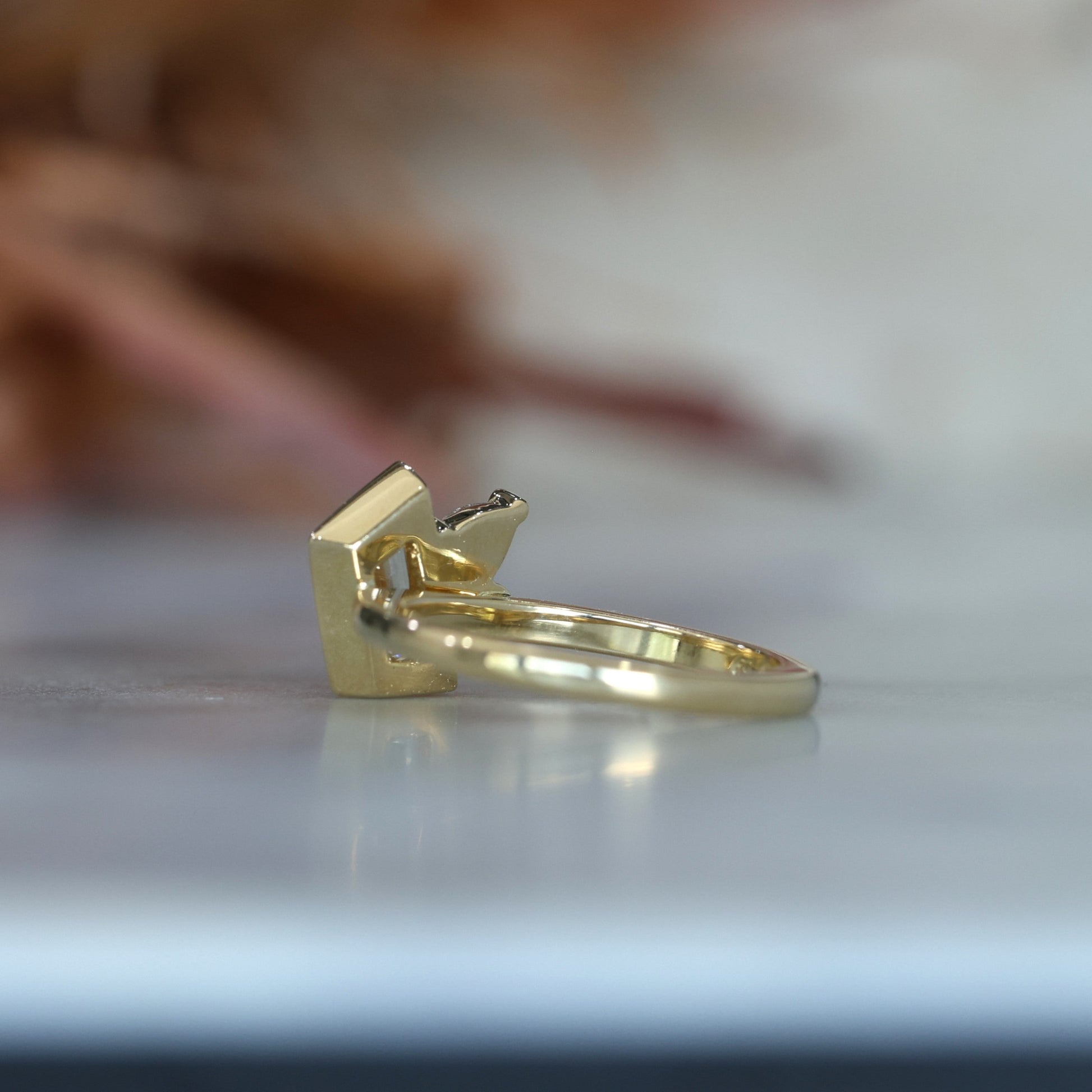 1.02ct Trapeze cut diamond Bezel Set Engagement ring side back of ring