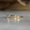 LOTUS / 0.69ct ROUND MONTANA SAPPHIRE 6 CLAW SOLITAIRE