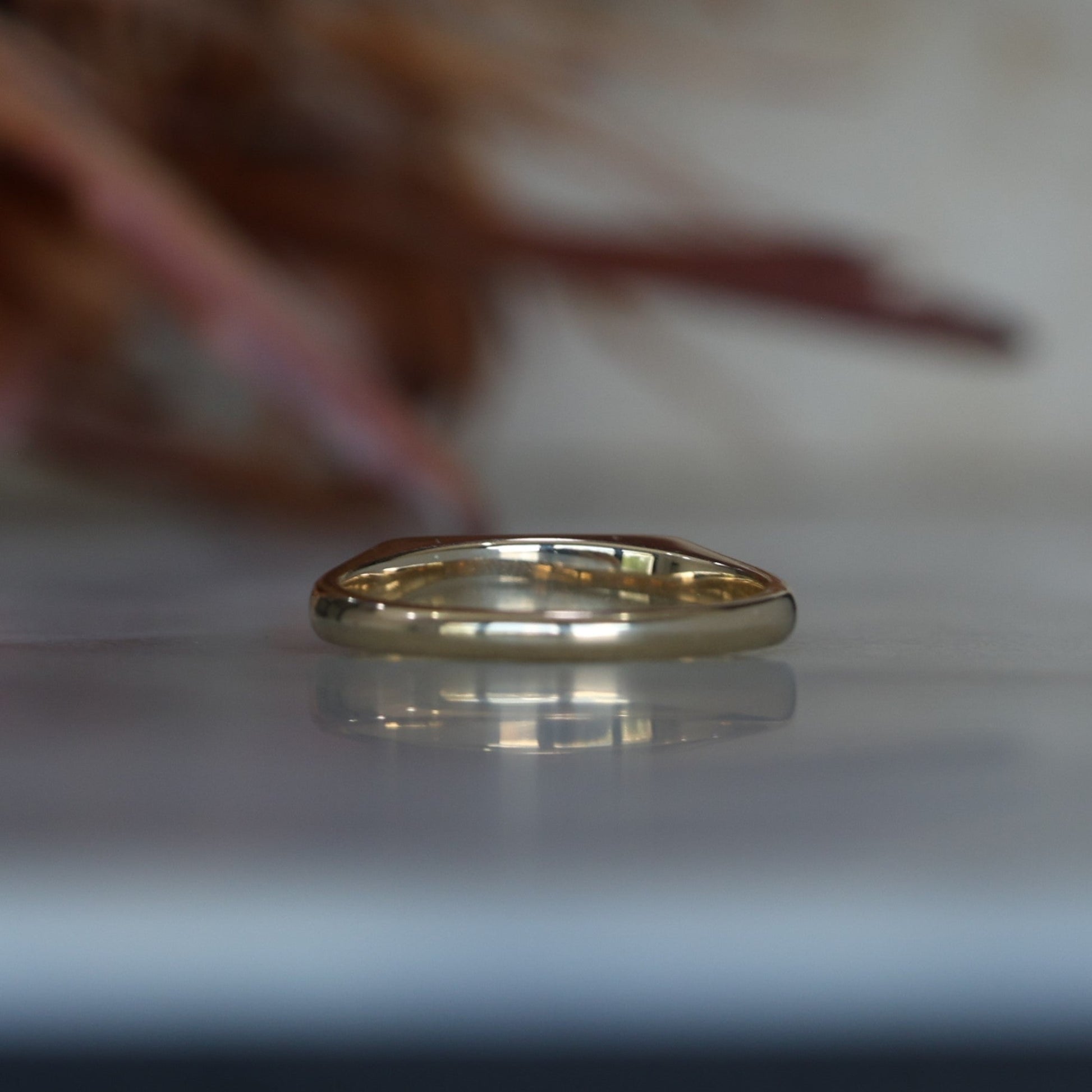 Star Design Diamond & Sapphire bar signet ring back view