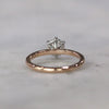NEVE / SOLITAIRE RING