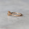 6 CLAW ROUND MORGANITE / RING