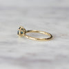 MONTANA / SAPPHIRE SOLITAIRE RING