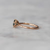 ROUND / SAPPHIRE SOLITAIRE RING ii