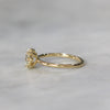 OVAL LAB CREATED DIAMOND / SOLITAIRE RING III