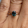 OVAL PARTI SAPPHIRE / SOLITAIRE RING