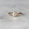 CHAMPAGNE ARGYLE / SOLITAIRE RING