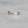 WHITE DIAMOND / STUDS