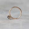 MONTANA SAPPHIRE / SOLITAIRE RING II