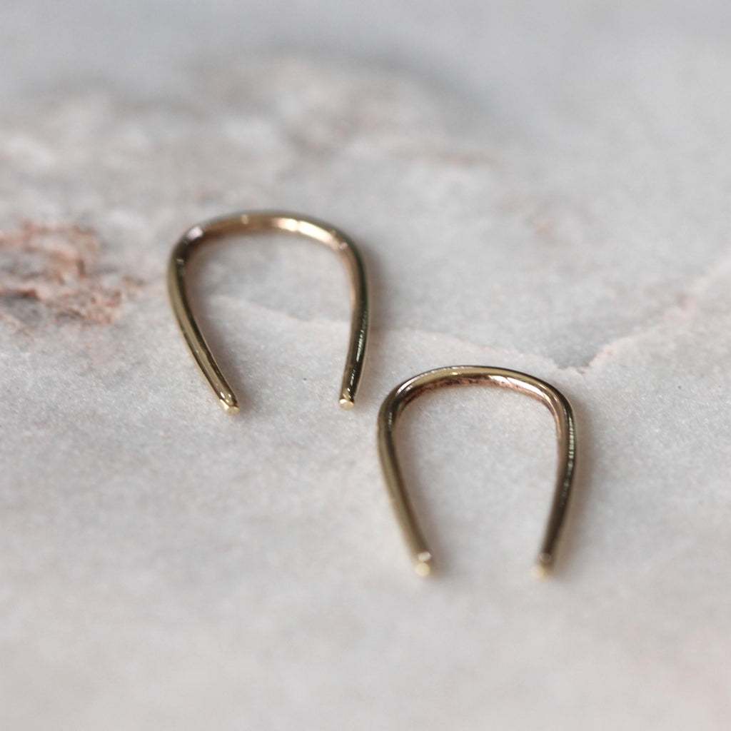 horseshoe earring