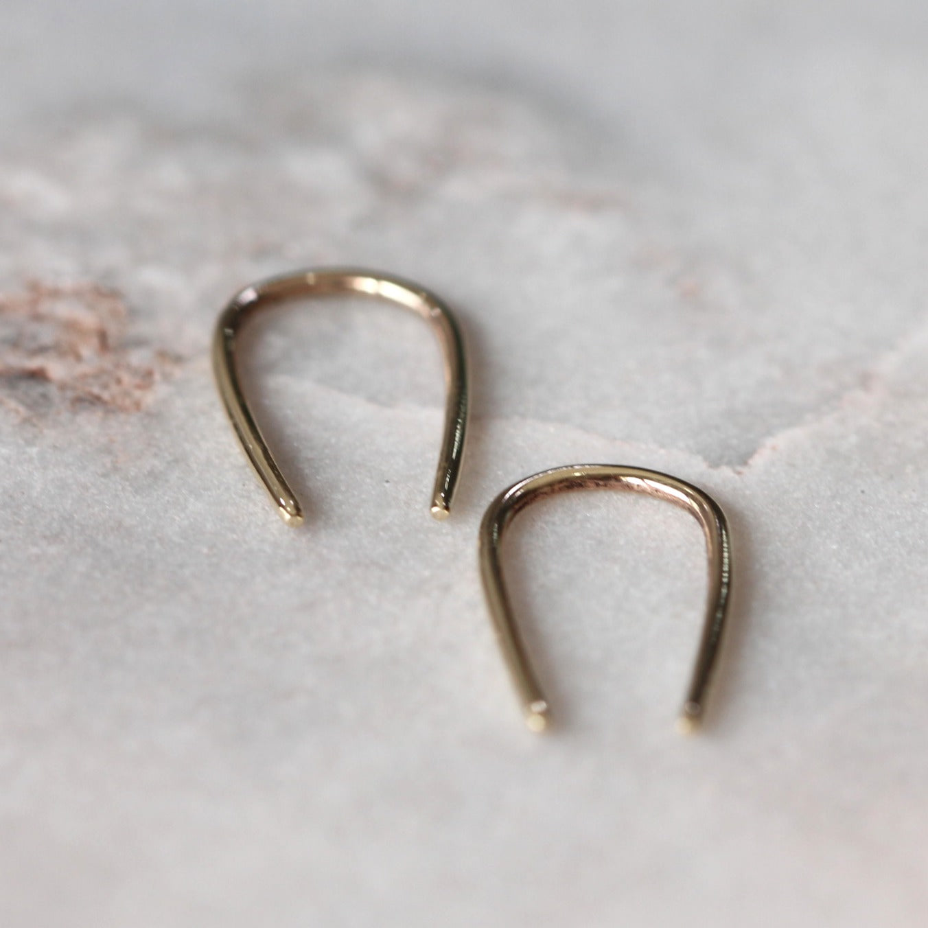horseshoe earring